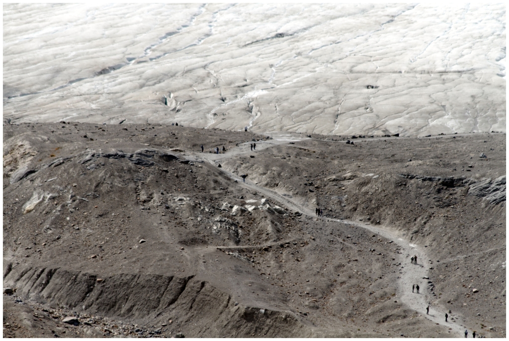 06 - Icefields Parkway (4) - Glacier Athabasca.jpg